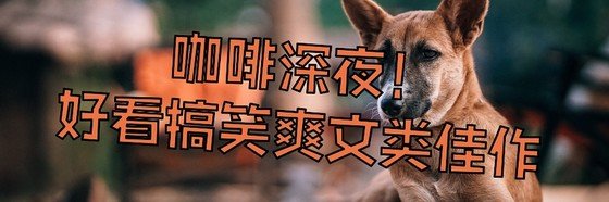 咖啡深夜！好看搞笑爽文类佳作